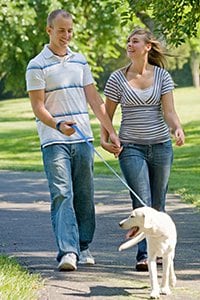 Couple walking dog in park on pretty day